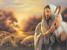 gesu pastore
